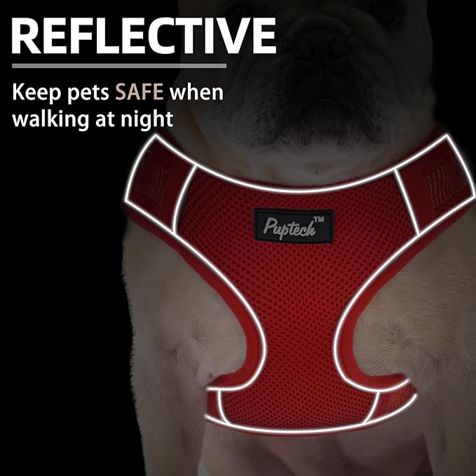 PUPTECK Small Dog Harness and Leash Set, No Pull Adjustable Puppy Cat Harness, Reflective Soft Mesh Pet Vest Small Sized, Red, S
