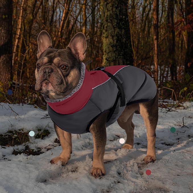 IECOii Extra Warm Dog Coat - Reflective, Adjustable Winter Jacket with Buckle & Fleece Turtleneck Dog Jackets for Small Dogs, Waterproof & Windproof Fleece Vest for Cold Weather, Burgundy, Small