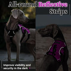 rabbitgoo Escape Proof Dog Harness, Soft Padded Full Body Pet Harness, Reflective Adjustable No Pull Vest with Lift Handle and Leash Clip for Large Dogs Walking Hiking Training, XL, Purple
