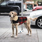 Winter Coat for Small and Medium Dogs, Puppy Plaid Jacket, Cotton Coat for Cold Weather, Windproof Warm Dog Garments, Pet Thickened Outfits Indoor Outdoor, Red L