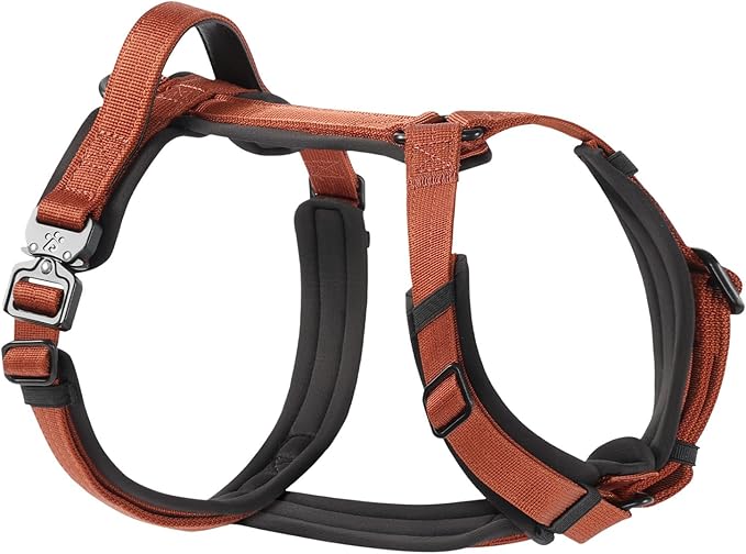 PawsPassion Dog Harness for Large Dogs, No Pull Dog Harness Easy Walk with Metal Hardware, Ergonomic Y-Shaped Design, Soft Padding, Padded Handle, Durable High-Tensile Nylon (Canyon Red, L)