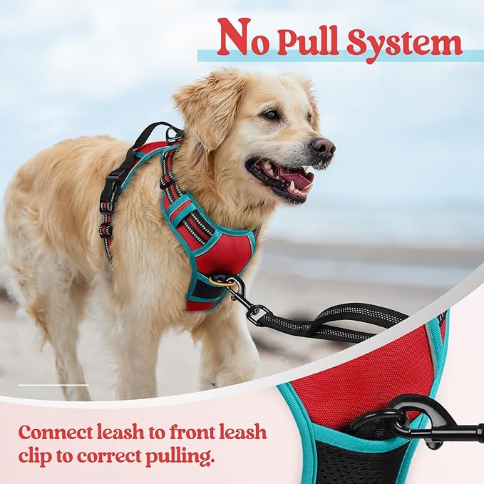 rabbitgoo Dog Harness No Pull with 2 Leash Clips, Adjustable Soft Padded, Reflective Oxford No Choke Pet Vest with Easy Control Handle for Medium Sized Dogs, Red & Teal, M