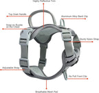 Petmolico No Pull Cute Dog Harness for Small Dogs, with Two Leash Clips and Soft Handle, Reflective Easy Walk Dog Harness- Light Green,Small