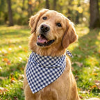 Dog Bandanas 1 Pack; Cotton Linen Blue Bandana Plaid for Large Dogs; Soft Breathable Dog Accessories; Classic Dog Apparel & Accessories