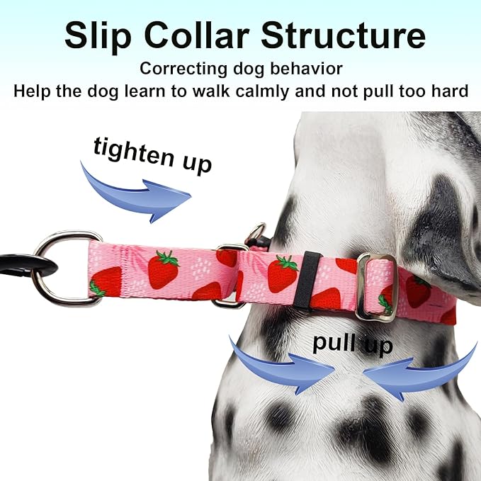 Martingale Collar for Dogs with Pink Strawberry Pattern No Pull Training Nylon Limited Slip Collars for Medium Dogs