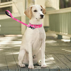 Martingale Collar and Leash Set, Premium No Slip Martingale Collar for Dogs Medium Large, Girl Dog Collars Training (NO2, M)