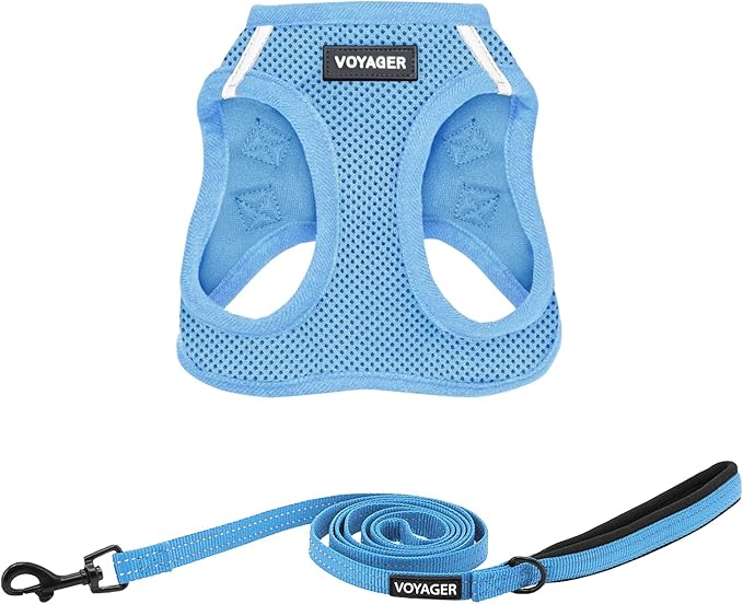 Best Pet Supplies Voyager Step-in Air All Weather Mesh Harness and Reflective Dog 5 ft Leash Combo with Neoprene Handle, for Small, Medium and Large Breed Puppies - Set (Baby Blue), L