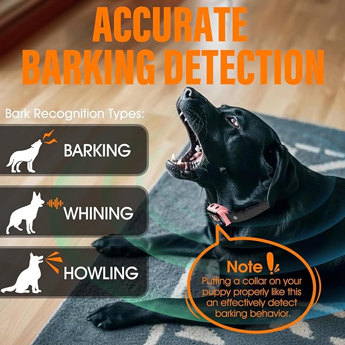 Smart Dog Bark Collar for Small Medium Large Dogs 10-100lbs, Humane Anti-Bark Device with Anti-False Trigger Gravity Sensor & Bark Count Tracking, 4 Modes & 8 Levels to Effectively Stop Barking