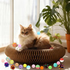 Zopeal 64 Pcs Easter Cat Toy Gift Set Magic Cat Scratcher Board Ball Launcher Gun Crinkle and Yarn and Plastic Bell Ball Kitten Toy with Bow for Pet Interactive Engaging Gift(Organ Shape)