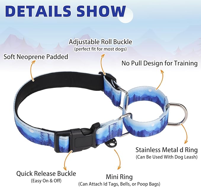 KOOLTAIL Martingale Collar for Dogs for Small Medium Large Dogs, Soft Padded Nylon No Pull Dog Collar with Buckle, Adjustable No Slip Heavy Duty Durable Puppy Training Collar for Boys Girls, Blue L