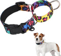 KOOLTAIL Martingale Collar for Dogs for Small Medium Large Dogs, Soft Padded Nylon No Pull Dog Collar with Buckle, Adjustable No Slip Heavy Duty Durable Puppy Training Collar for Boys Girls, M