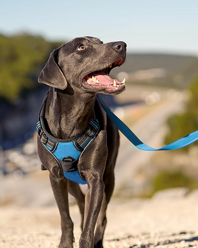 Joytale No Pull Dog Harness for Extra Large Dogs, Reflective Pet Vest with Front Clip, Adjustable Soft Padded Harnesses with Easy Control Handle for Training and Walking, Sky Blue, XL