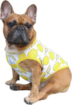 iChoue 100% Breathable Cotton French Bulldog Halloween Cartoon T Shirts Cute Clothes for Medium Dogs Vest Tank Tops Frenchie Pug Small Puppy English Boston Terrier Lemon - Large