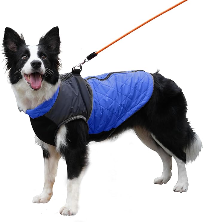 Warm Fleece Dog Coats for Medium Dogs,D-Rings Waterproof Puppy Jacket for Cold Winter,Blue XL