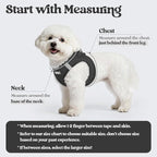 rabbitgoo Dog Harness Small Sized and Leash Set, Step in Soft Light Puppy Vest, Breathable Mesh Pet Harness, Reflective for Safe Easy Walking, Black XXS