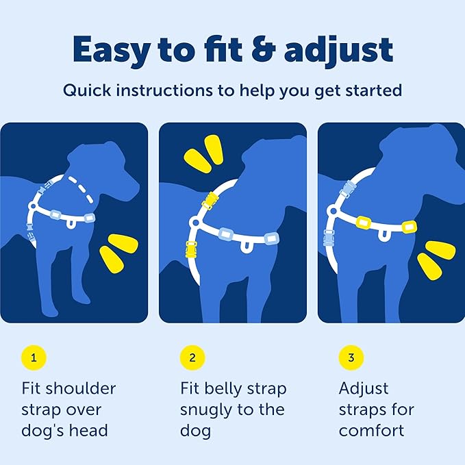 PetSafe Easy Walk Harness for Dogs - Pull-Free Walks - Patented Martingale Loop Design - Front Chest Leash Attachment - Comfort Straps - Breathable Harness Design - X-Large, Charcoal/Black