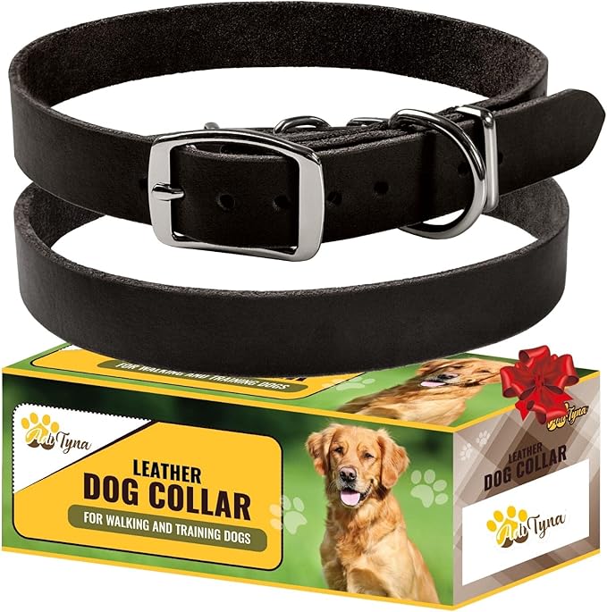 ADITYNA Extra-Small Leather Dog Collar for XS Dogs - Classic, Soft, Strong, Heavy Duty, Handmade Top-Grain Leather - for Walking, Training, and Hiking