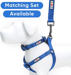 Pawtitas Solid Step-in Dog Harness – Adjustable No-Pull Vest for Puppies to Seniors, Safe & Comfortable S Blue