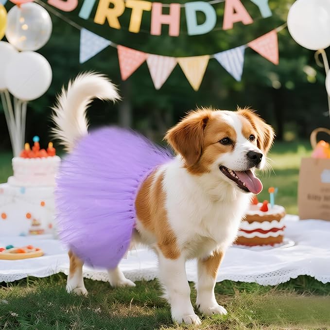 2 Pcs Dog Tutu Dress with Pearl Crown for Small Medium Pet Cat Dog Halloween Costume Dress for Ballet Birthday Party Wedding Photo Prop