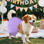 2 Pcs Dog Tutu Dress with Pearl Crown for Small Medium Pet Cat Dog Halloween Costume Dress for Ballet Birthday Party Wedding Photo Prop