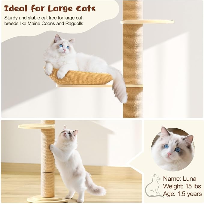 Tinnmao Solid Real Wood Floor to Ceiling Cat Tree, 5 Level Adjustable Height (75"-91"), Modern Climbing Tower with Thickened Wooden Sisal Scratching Posts & Cozy Bed for Indoor Cats Large Adult
