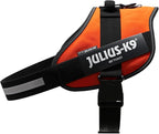 Julius-K9, 16IDC-for-4, IDC Powerharness, Dog Harness, Size: 4, UV Orange