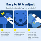 PetSafe Soft Point Training Collar - Comfortable No-Pull Adjustable Quick-Release Collar with Removable Soft Rubber Points - Pain-Free Training for Better Leash Manners - Large - Blue