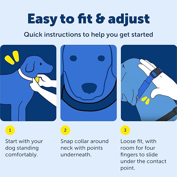 PetSafe Soft Point Training Collar - Comfortable No-Pull Adjustable Quick-Release Collar with Removable Soft Rubber Points - Pain-Free Training for Better Leash Manners - Large - Blue