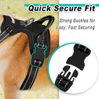 BARKBAY Dog Harness No Pull Mesh for Large Dogs - Adjustable, Reflective, Comfortable, No Choke, Heavy-Duty - Perfect for Outdoor Training, Walking, and Hiking - Strong & Durablee - XL & Black Mesh