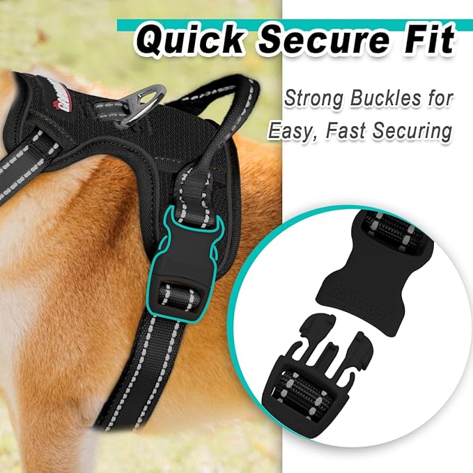 BARKBAY Dog Harness No Pull Mesh for Medium Dogs - Adjustable, Reflective, Comfortable, No Choke, Heavy-Duty - Perfect for Outdoor Training, Walking, and Hiking - Strong & Durable - M & Black Mesh