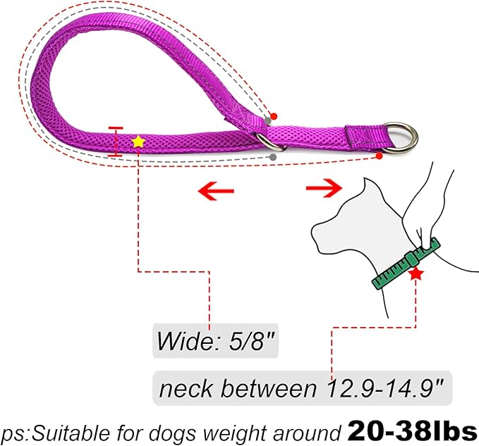 Reflective Slip Dog Collar, Loop Dog Collar for 20-38 lbs Dogs, Nylon Training Collars with Soft Padded for Dogs (5/8" W x 15.5" L, Purple)