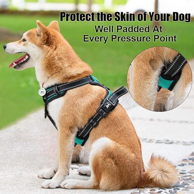 PoyPet No Pull Dog Harness, Reflective Comfortable Vest Harness with Front & Back 2 Leash Attachments and Easy Control Handle Adjustable Soft Padded Pet Vest for Small to Large Dogs (Mint Blue,XS)