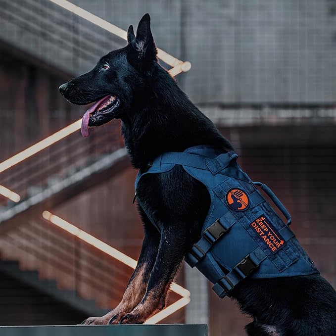OneTigris Tactical Dog Harness for Small Medium Large Dogs, Mesh Design Service Dog Vest Breathable Military Dogs Molle Vests with Handles, Harness for Walking Hiking Training (Blue, XL)