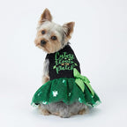 Fitwarm Cutest Clover in the Patch Dog Dress, St Patricks Day Dog Clothes for Small Dogs Girl, Funny Pet Cat Holiday Outfit, Black, Emerald Green, Small
