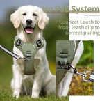 HEELE Dog Harness, Dog Harness for Small Medium Large Dogs No Pull Adjustable Padded Reflective Harness with Handle for Walking Training, Green, XL