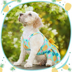 Frienda 6 Pieces Bowknot Princes Puppy Dog Dress Floral Vest Skirt Summer Pet Dress Dog Cute Rosette Sundress Apparel for Puppy Cat Pet(M)