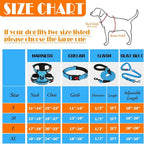 No Pull Dog Harness, Collar & Leash Set | Includes Dog Seat Belt, Collapsible Bowls & Poop Bag Dispenser. Ideal for Training, Walking, Hiking. Fits Small to Large Dogs(Blue-S)