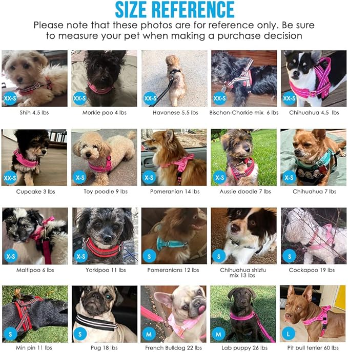 Lukovee No Pull Dog Harness and Leash Set, Soft Padded Small Dog Harness, Neck & Chest Adjustable Reflective Vest Puppy Harness with 4ft Lightweight Anti-Twist Dog Leash for Small Dogs (XXS, Purple)