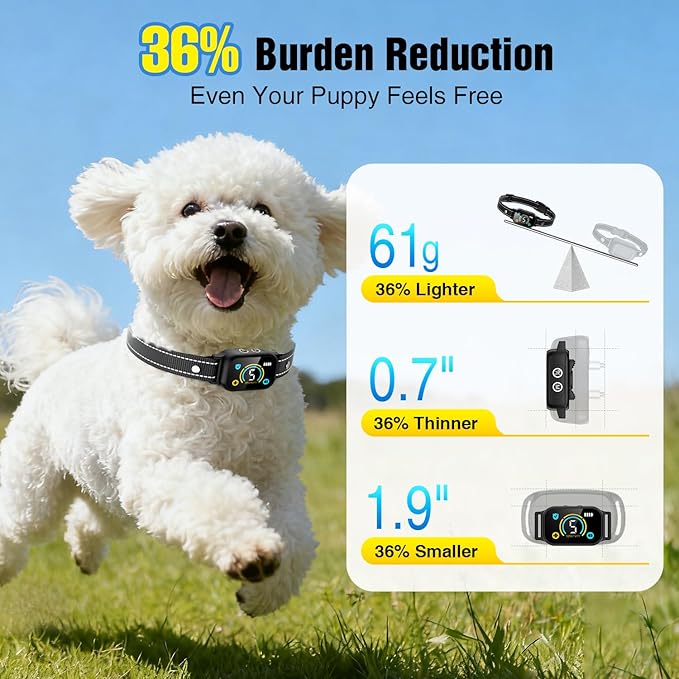 2 Pack Bark Collar, Smart Dog Bark Collar for Large Medium Small Dogs, Rechargeable Ultra-Light Training Collar with Beep Vibration, Anti Barking Device with 5-Level Sensitivity (Black)