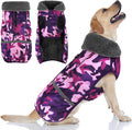 Doglay Dog Coat, Waterproof Dog Jacket Pet Winter Coat for Cold Weather with Thicken Furry Collar, Reflective Puppy Winter Jacket Warm Fleece Lining for Small Medium Large Pets