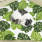 Cat Teepee Tent Bed,Outdoor Indoor Dog House Portable Washable Pet Tent for Small Dogs with Cushion Inside Pet Teepee for Small Medium Animals (Green&White, M)