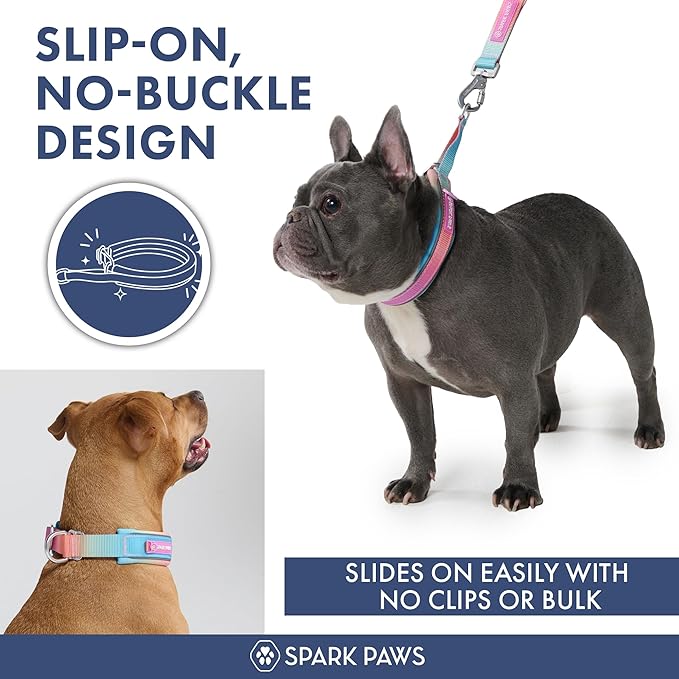 Spark Paws Martingale Dog Collar – Cushioned Slip-On Training Collar, Heavy Duty, Safety-Tested No-Buckle Collar for Medium & Large Dogs - Pastel Icing - A
