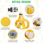 BEAUTYZOO Step in Dog Harness and Leash Set,Reflective Dog Harness No Pull No Choke Puppy Harness for Small Medium Large Dogs Cats,Soft Padded Mesh Vest Harnesses for Girl and Boy Pets, Pineapple XS
