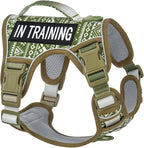 No-Pull Dog Harness for Small Dog Breeds, Escapeproof Easy Walking Reflective Adjustable Lightweight Dog Vest with Breathable Oxford Material, Easy on Easy Off with Neck Buckle, Green Ethnic XS