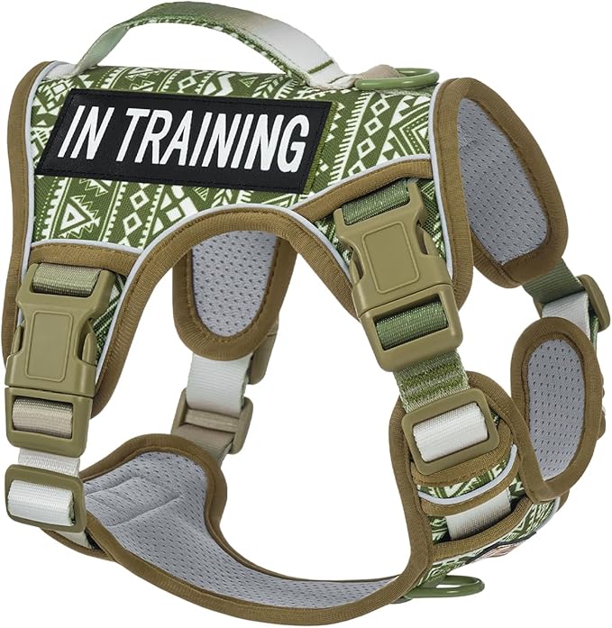 No-Pull Dog Harness for Small Dog Breeds, Escapeproof Easy Walking Reflective Adjustable Lightweight Dog Vest with Breathable Oxford Material, Easy on Easy Off with Neck Buckle, Green Ethnic XS