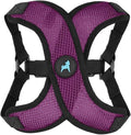 Gooby Comfort X Step in Lite Dog Harness - Choke Free, Escape Free with Light Breathable Mesh - Step in Dog Harness for Small Dogs Only - Quick Release Buckle, Metal D-Rings - Purple, X-Small
