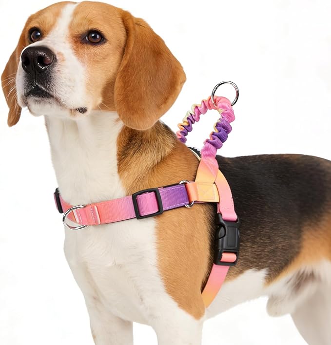 PUPTECK No Pull Dog Harness Small Sized Dog, Adjustable Reflective Pet Vest Harness with Bungee Handle, Escape Proof No Choke Harness for Small Dogs Walking Training, Pink & Purple M