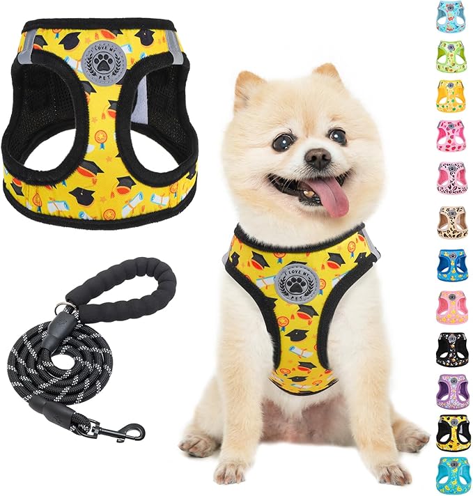 BEAUTYZOO Small Dog Harness and Leash Set,Step in No Choke No Pull Soft Mesh Dog Harnesses Reflective for Extra-Small/Small Medium Puppy Dogs and Cats,Yellow M