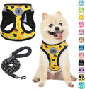 BEAUTYZOO Small Dog Harness and Leash Set,Step in No Choke No Pull Soft Mesh Dog Harnesses Reflective for Extra-Small/Small Medium Puppy Dogs and Cats,Yellow M