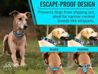 Orange Martingale Collar for Dogs - Heavy Duty Nylon Pet Collars for Escape-Free, No Pull Training & Walking with Alloy Metal Release Buckle & Reflective D Ring, One Time Adjustment, Safe & Secure, M